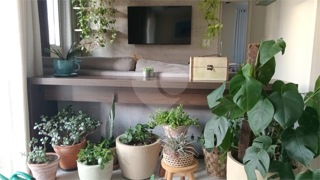 Apartamento na Vila Guilherme com 62 m²
