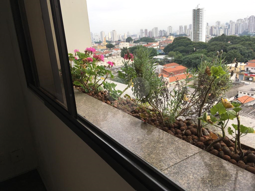 APARTAMENTO GRANDE E EXCELENTE LOCALIZAÇÃO
