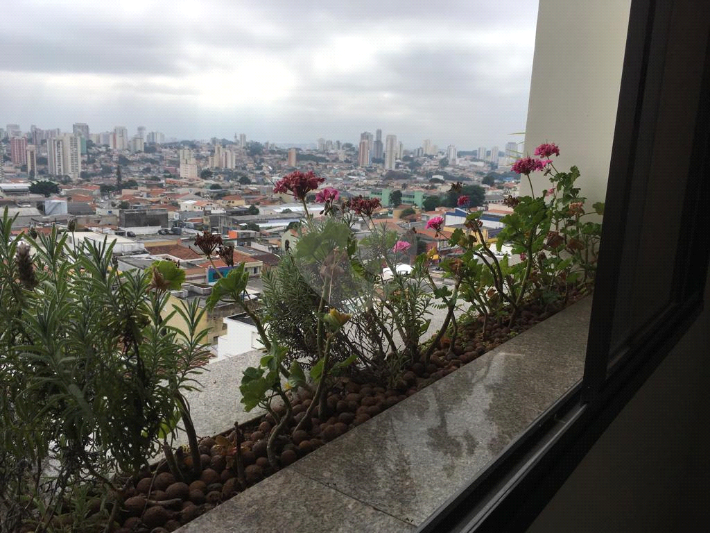 APARTAMENTO GRANDE E EXCELENTE LOCALIZAÇÃO