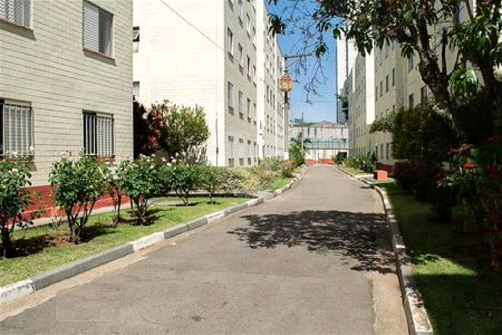 Apartamento à venda no Mandaqui