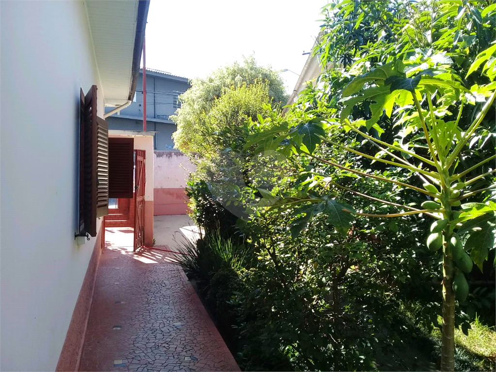 casa terrea- terreno 20 metros de frente x 30 