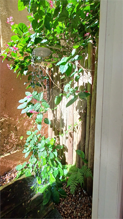Apartamento  2 Dormitórios  - tipo garden - Morumbi