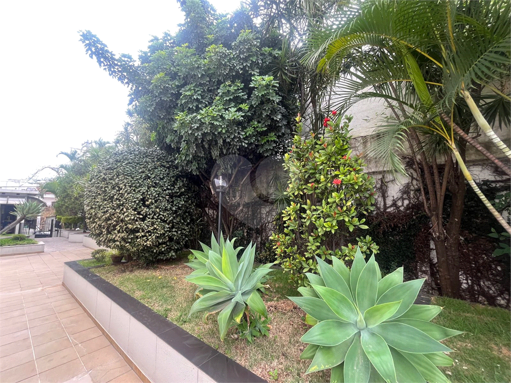 Apartamento Lindo e Reformado na Avenida Bras Leme !