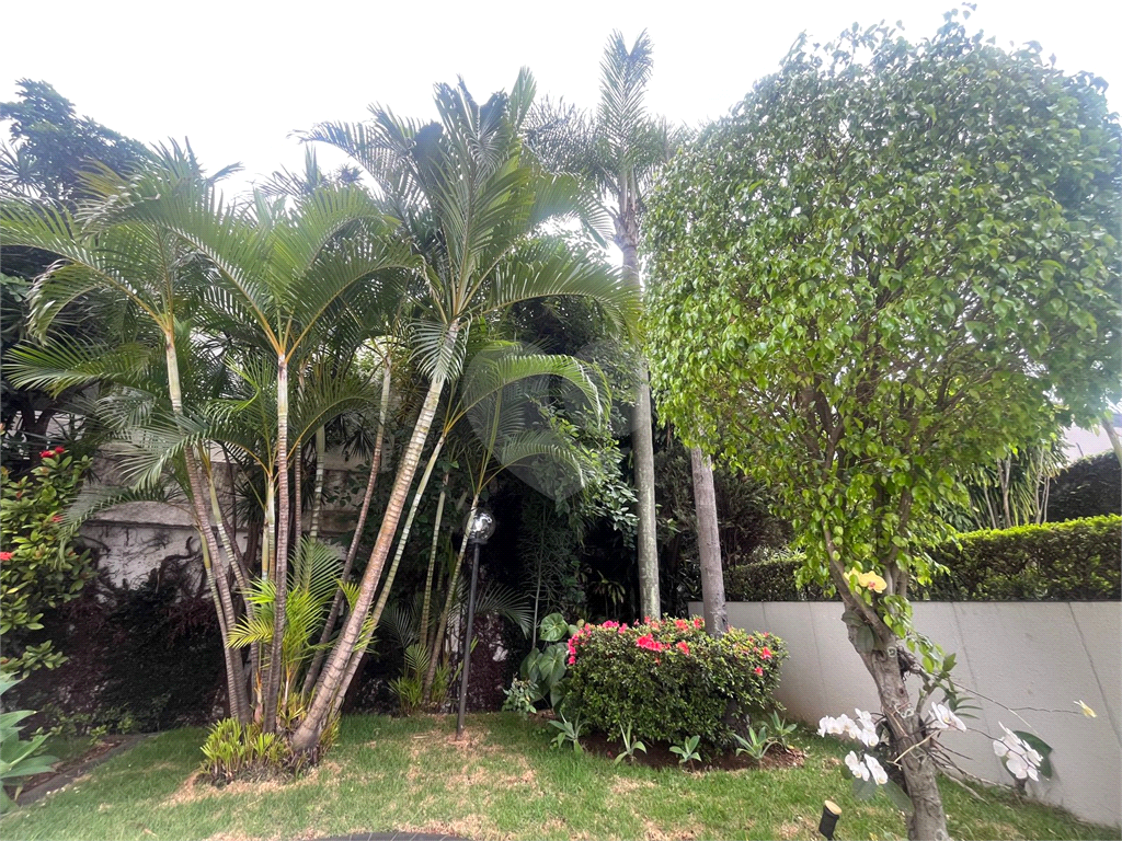 Apartamento Lindo e Reformado na Avenida Bras Leme !