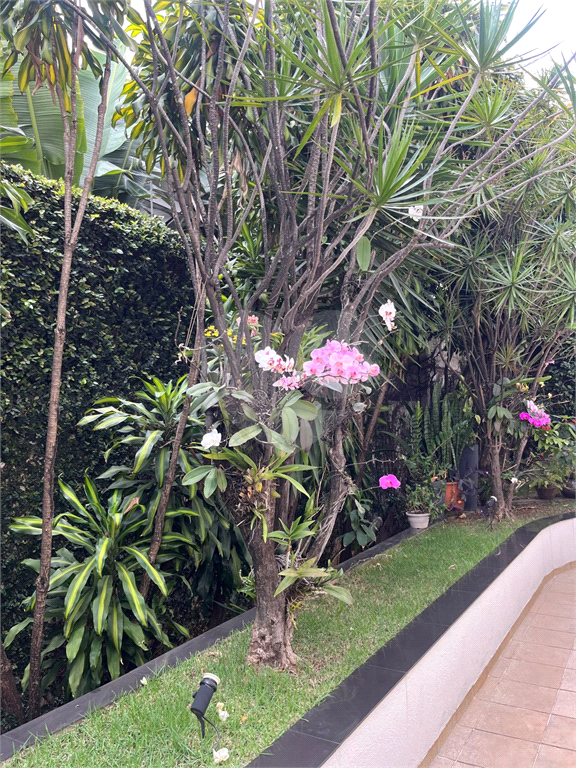 Apartamento Lindo e Reformado na Avenida Bras Leme !