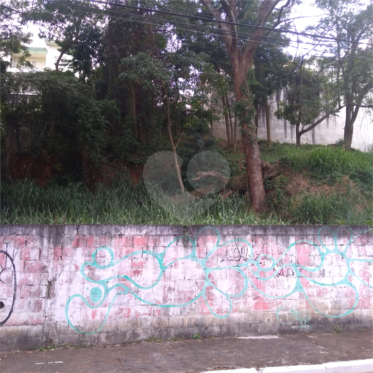 Terreno Jardim Bibi Oportunidade