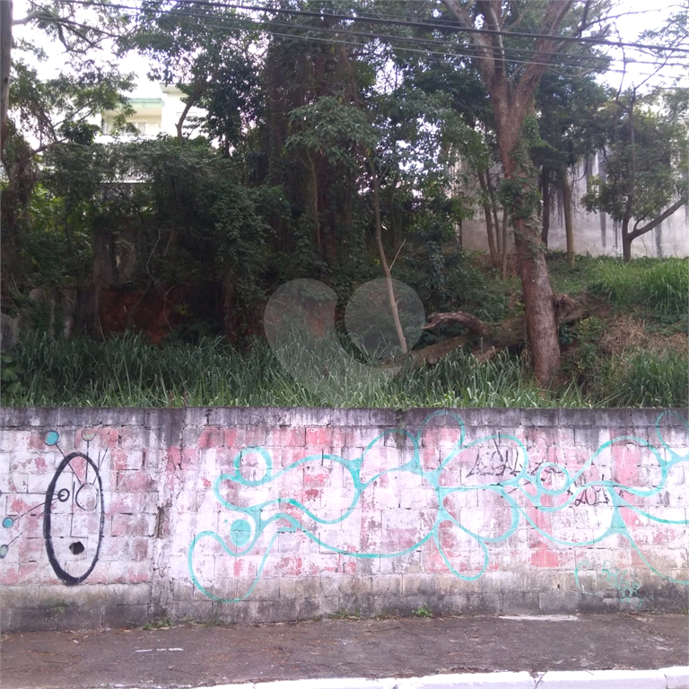 Terreno Jardim Bibi Oportunidade