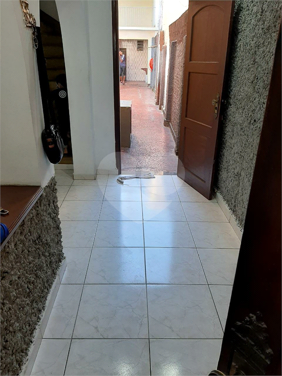 jardim são paulo-