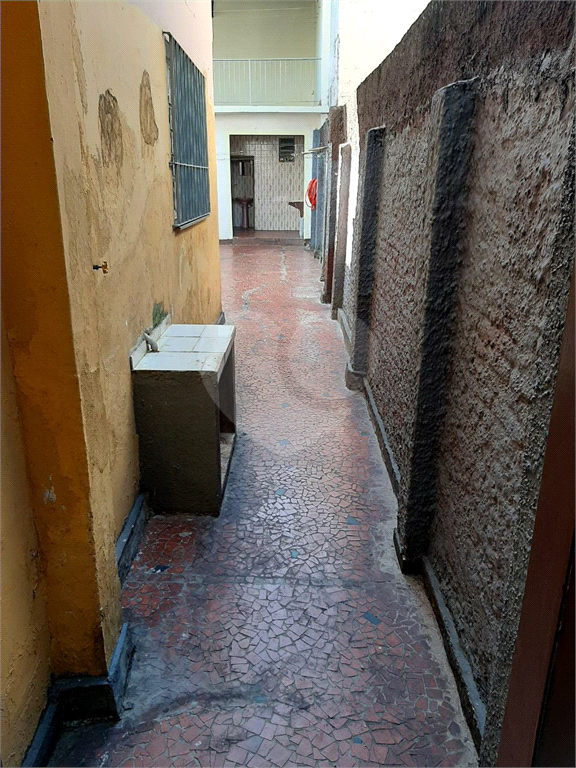 jardim são paulo-