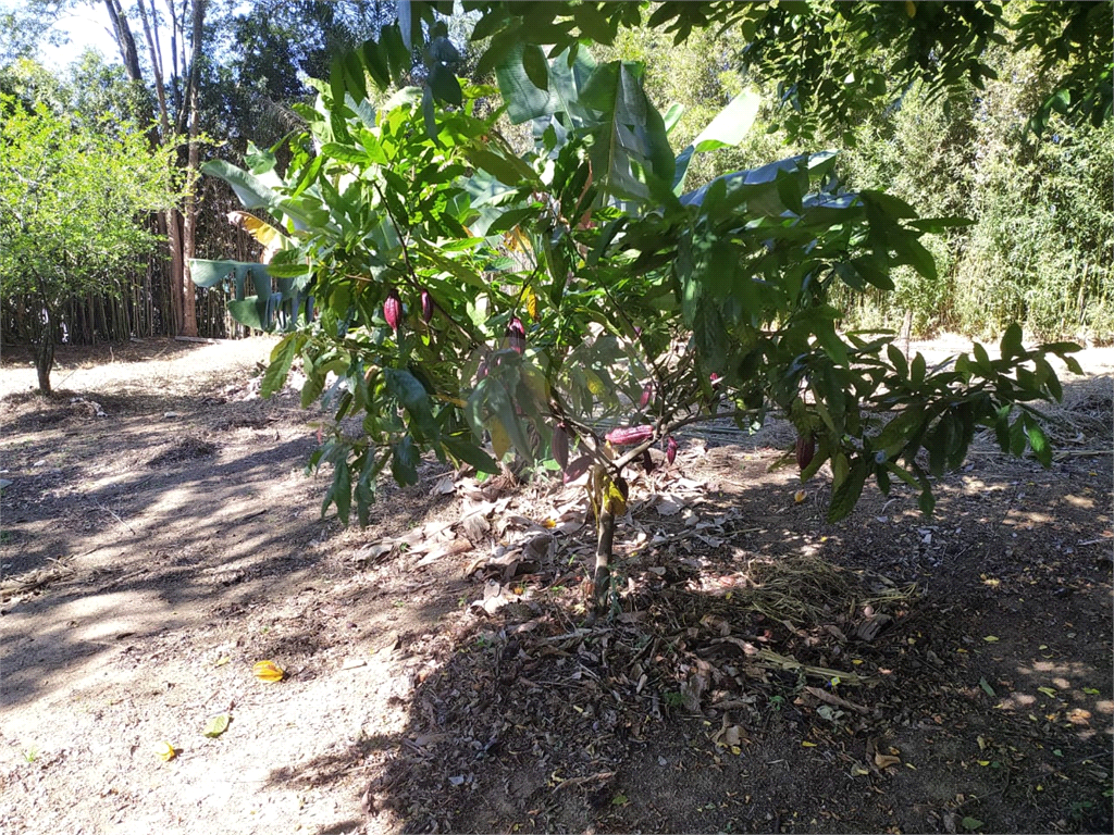 CHÁCARA em GRAJAÚ