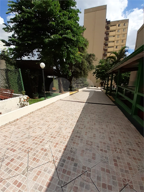 Apartamento Limão