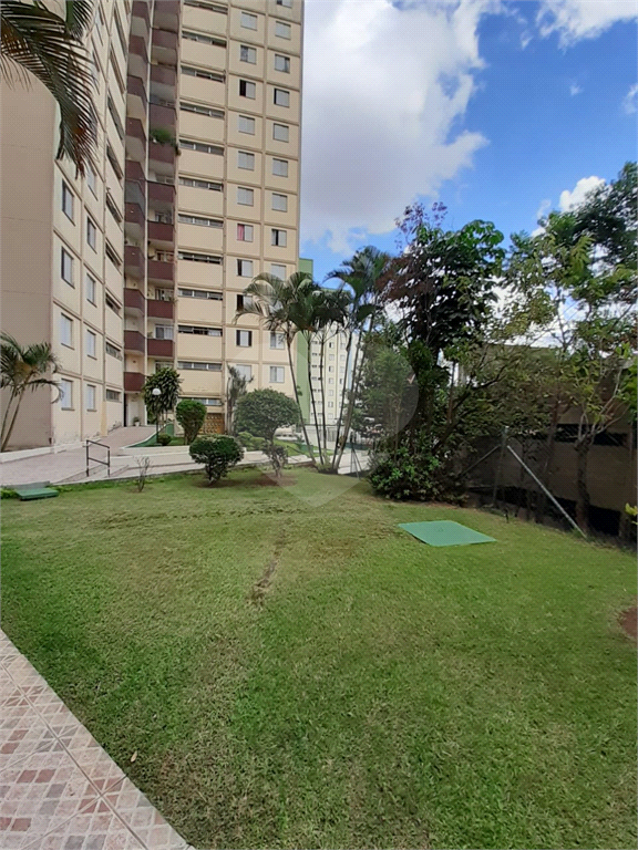 Apartamento Limão