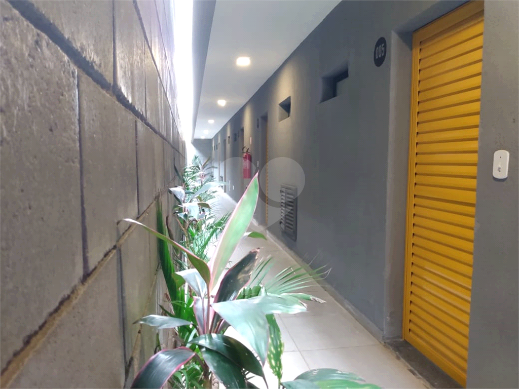Studio em conceito aberto na Vila Carrão
