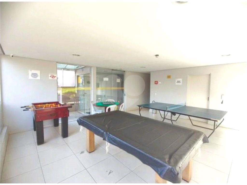 Apartamento no Bairro do Limão