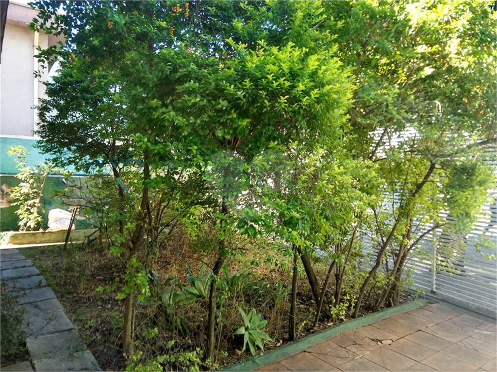 Casa Térrea à venda na Vila Maria Alta