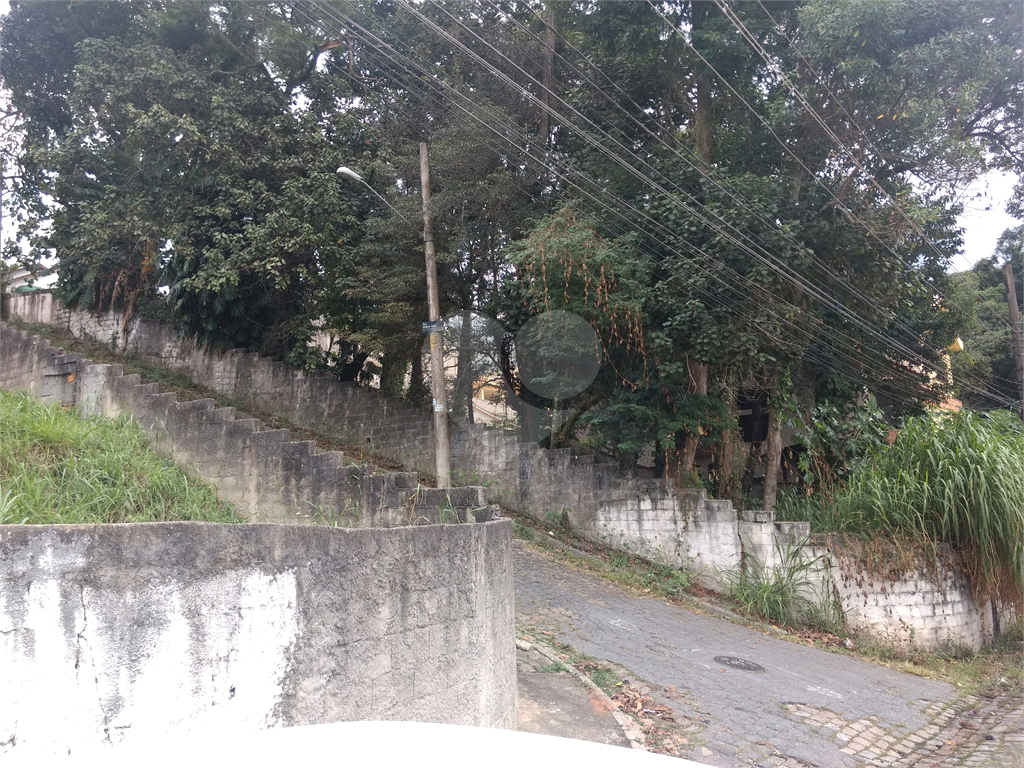 Horto Florestal 