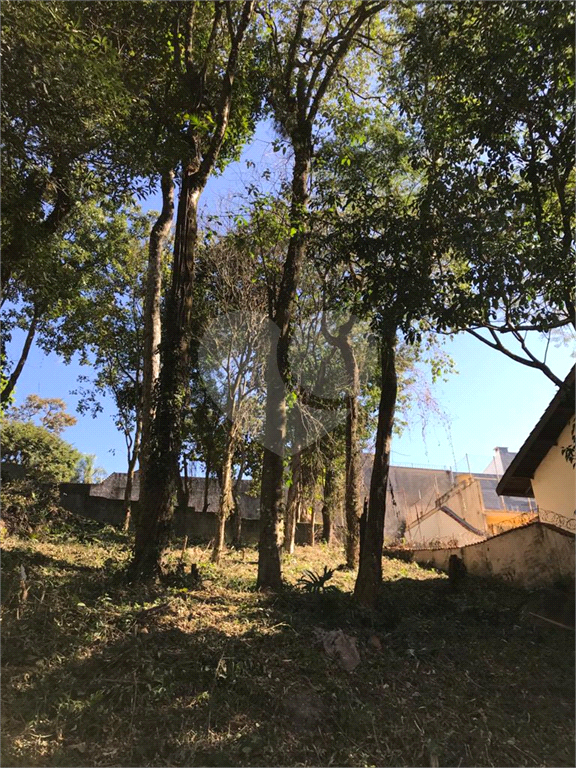Horto Florestal 