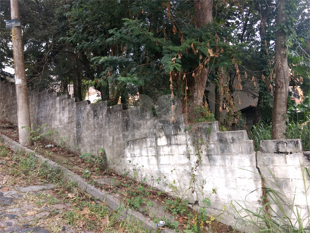 Horto Florestal 