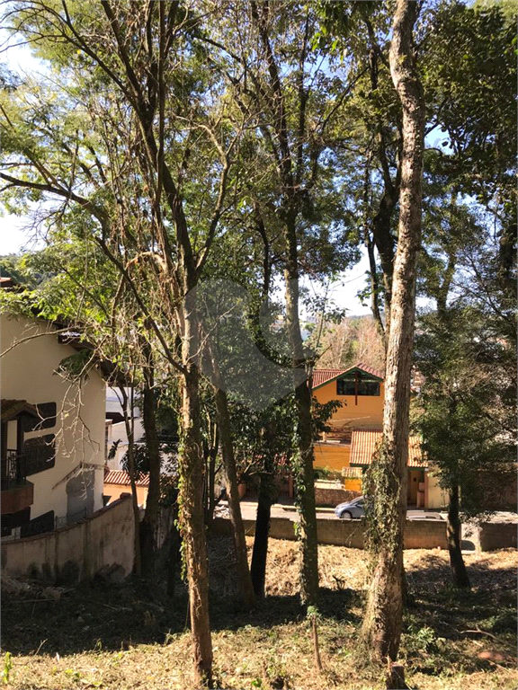 Horto Florestal 