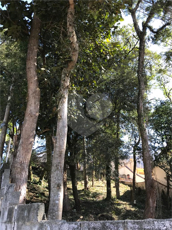Horto Florestal 