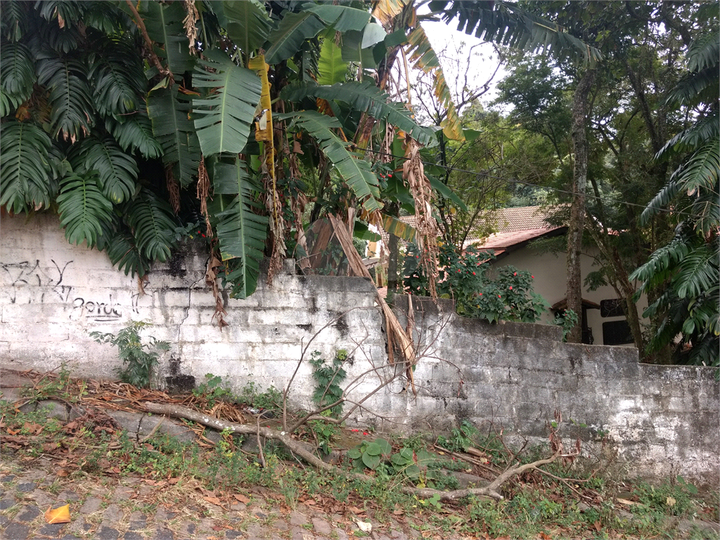 Horto Florestal 