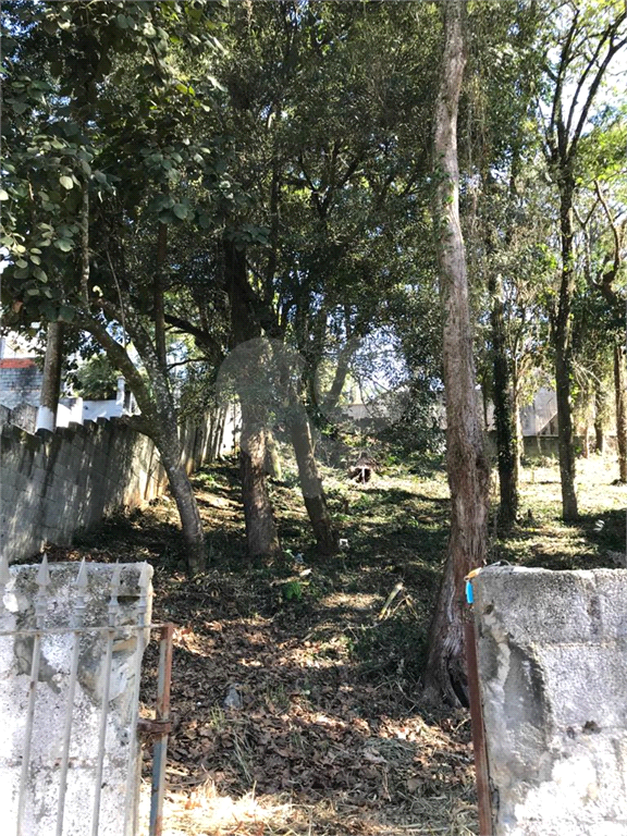 Horto Florestal 