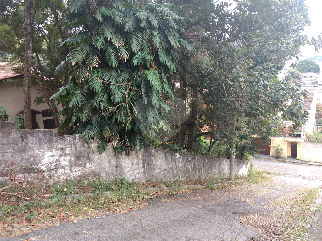 Horto Florestal 