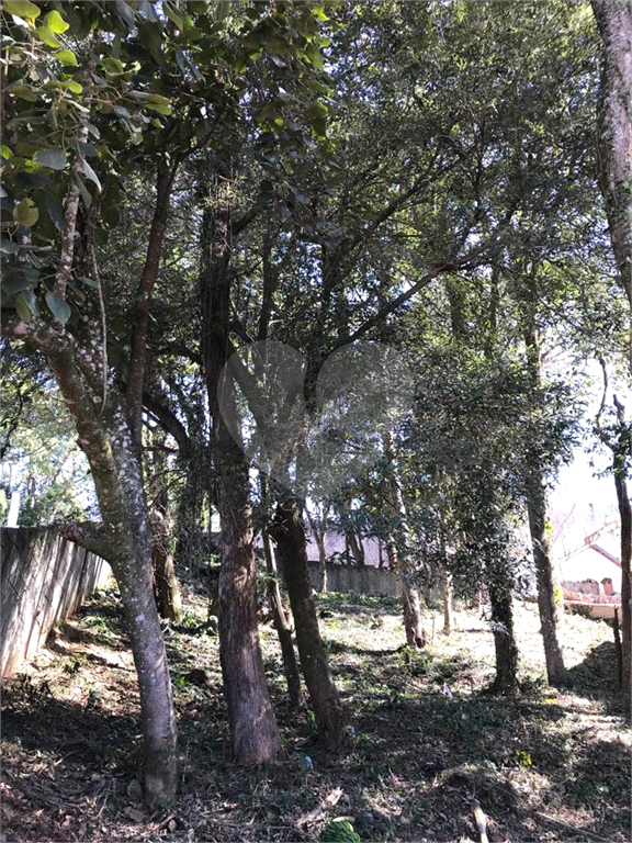 Horto Florestal 