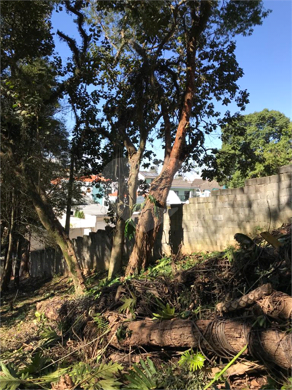 Horto Florestal 