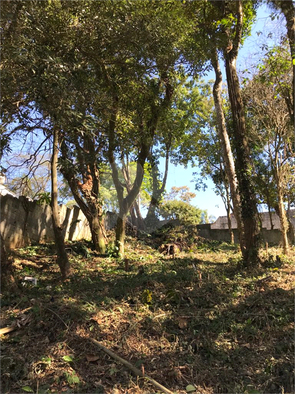 Horto Florestal 