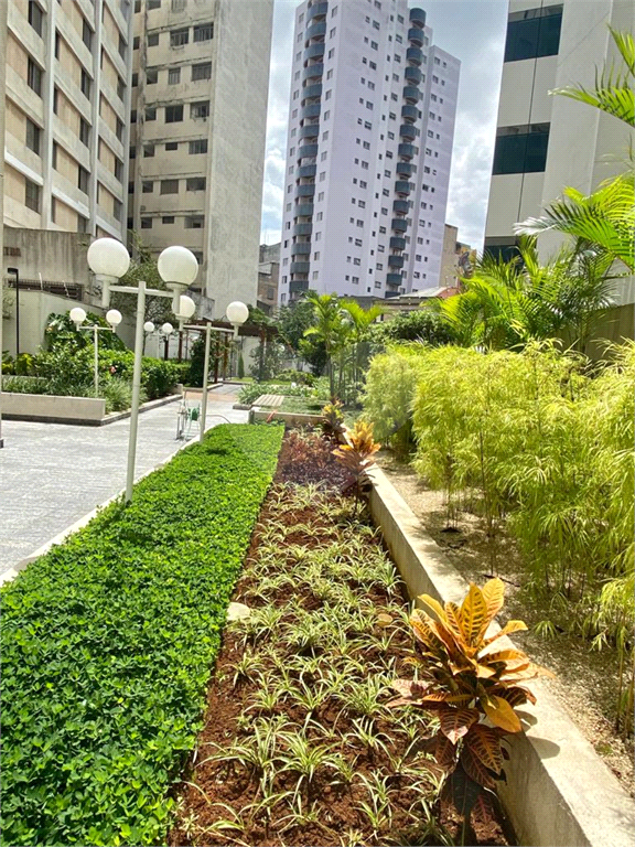 Apartamento - Liberdade - 3 Dormitórios / Quartos - 1 Vaga - Venda / Compra