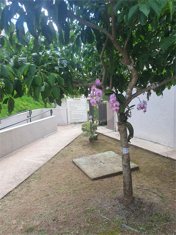 COBERTURA em JARAGUÁ