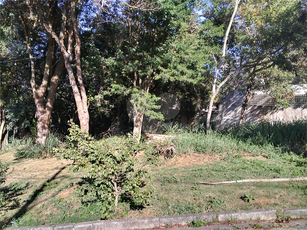 TERRENO em TUCURUVI