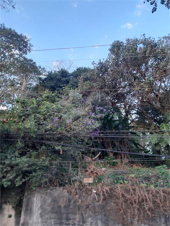 TERRENO VILA GUSTAVO