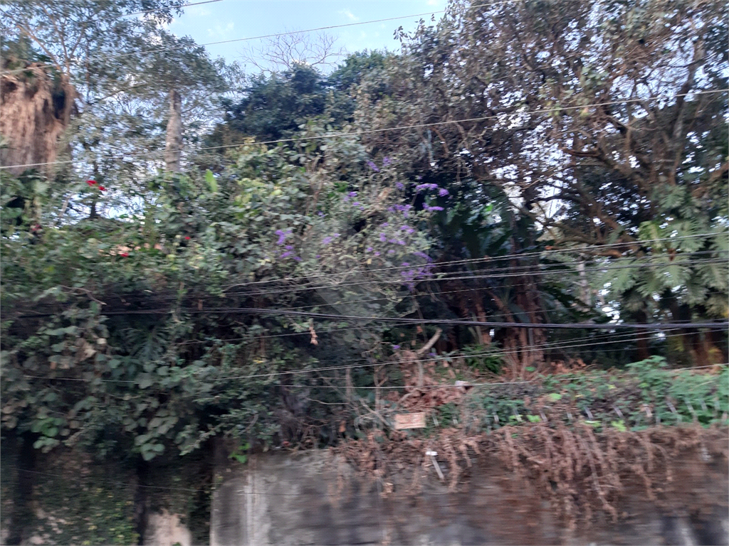 TERRENO VILA GUSTAVO