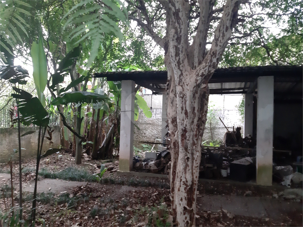 TERRENO VILA GUSTAVO