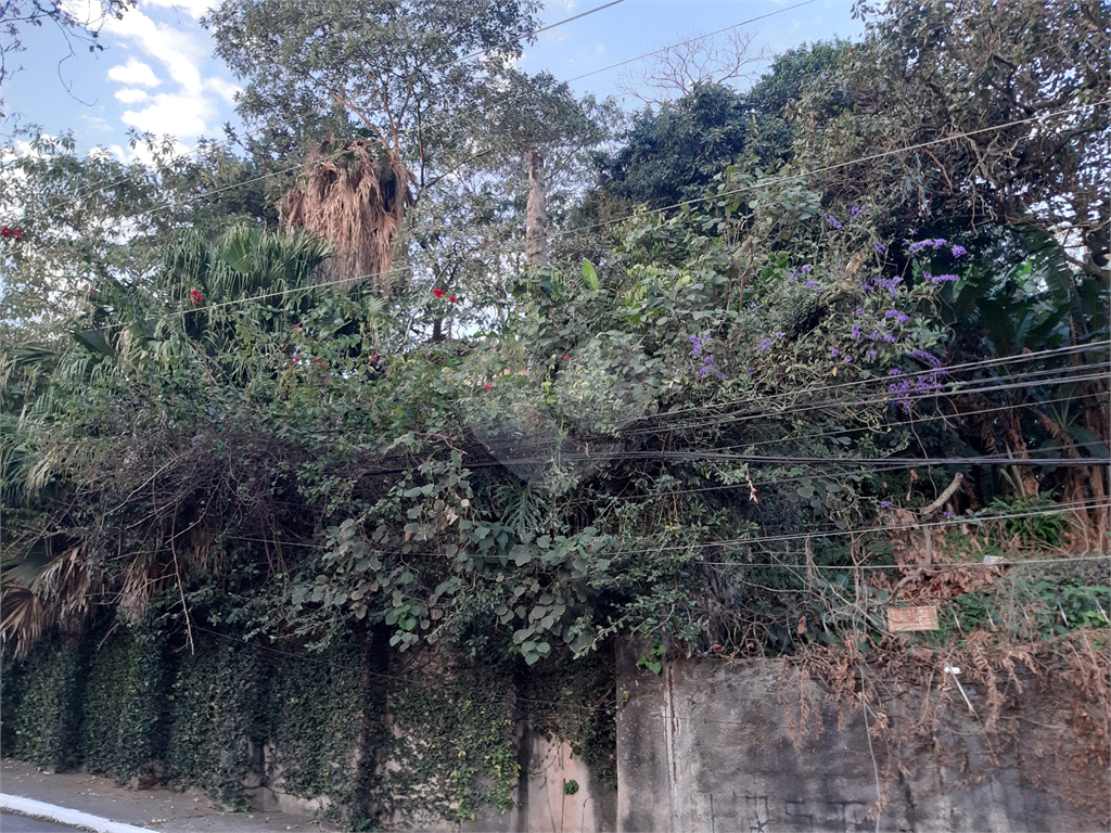 TERRENO VILA GUSTAVO