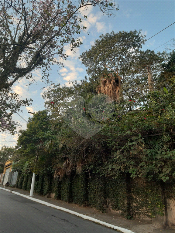 TERRENO VILA GUSTAVO