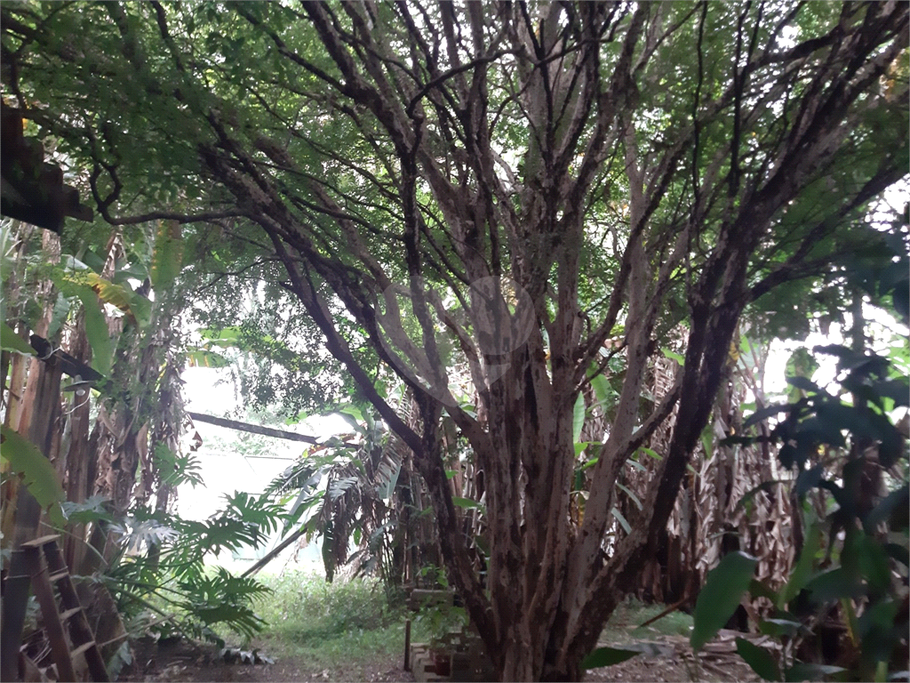 TERRENO VILA GUSTAVO