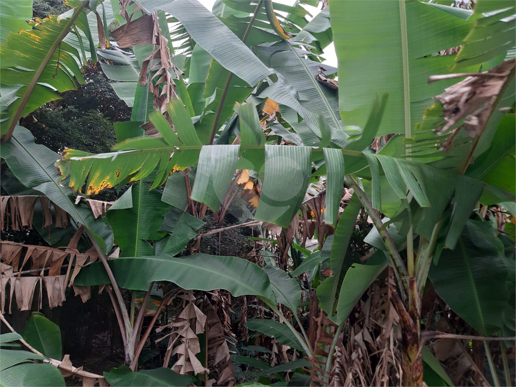 TERRENO VILA GUSTAVO