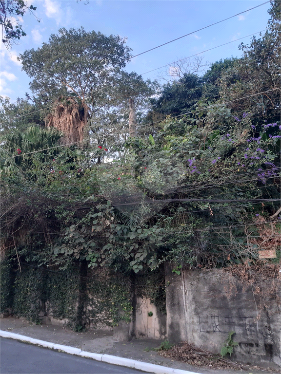 TERRENO VILA GUSTAVO