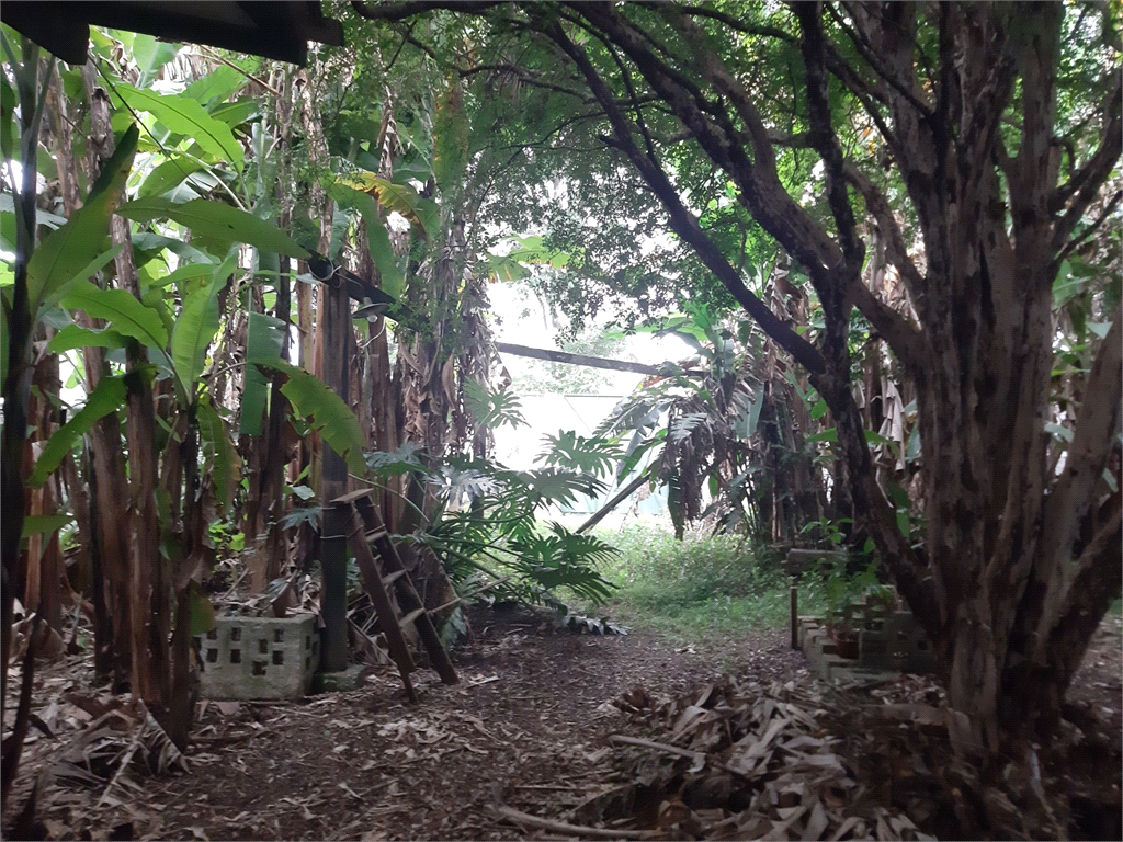 TERRENO VILA GUSTAVO