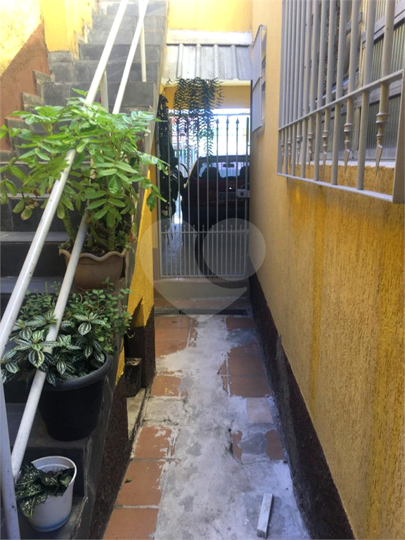 SOBRADO / JAÇANA