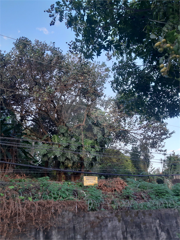 TERRENO AO LADO DO HORTO FLORESTAL