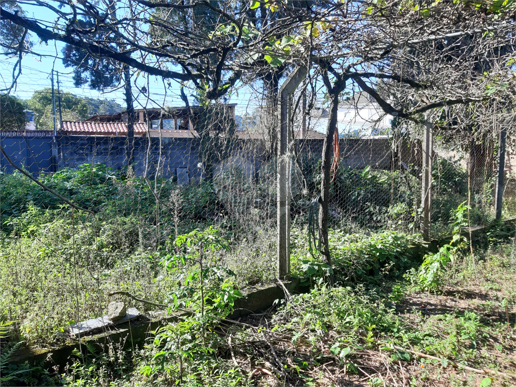 TERRENO AO LADO DO HORTO FLORESTAL