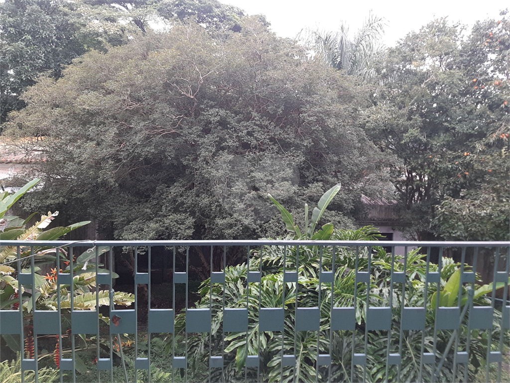 CASA EXCELENTE HORTO FLORESTAL
1