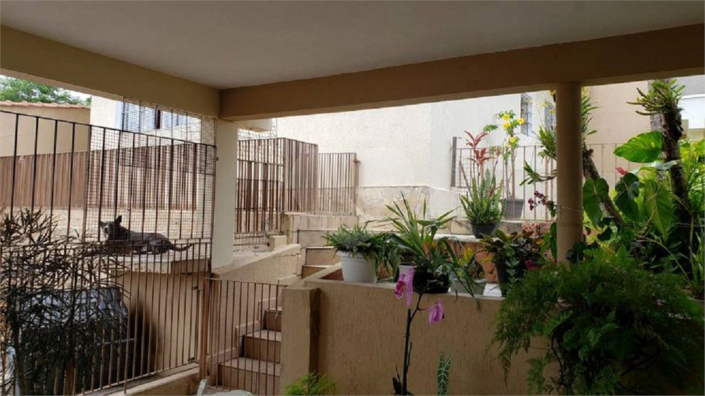 Terreno com 3 casas 