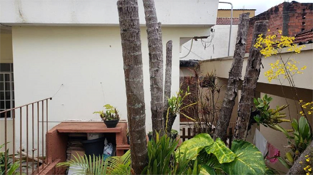 Terreno com 3 casas 