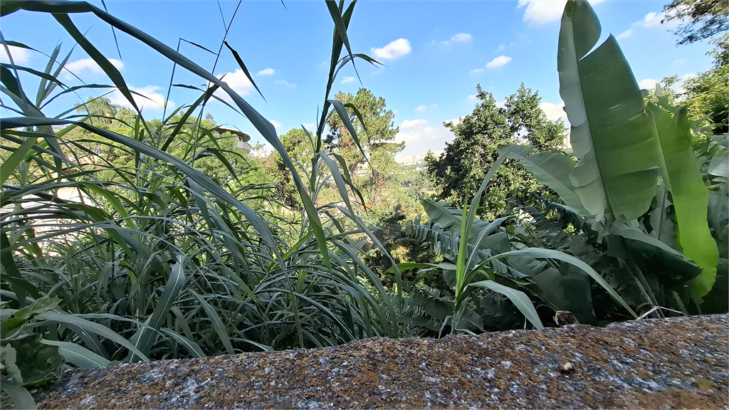 Terreno à venda, 883m² - Foto 18