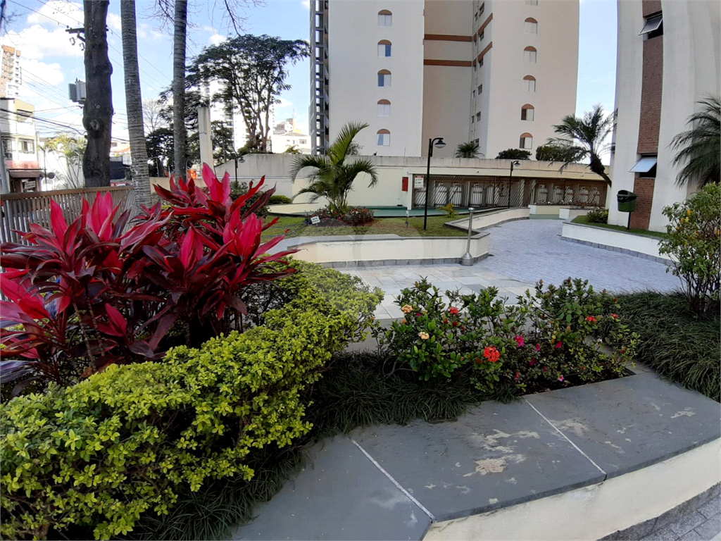Apartamento bem localizado, próximo do Horto Florestal com 3 dormitórios e 1 suite no Mandaqui